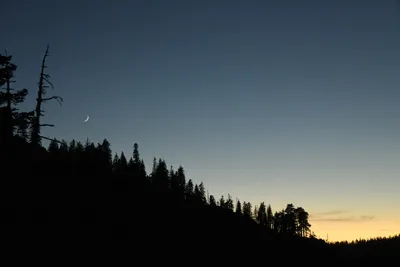 DSC_4280 (Large).JPG